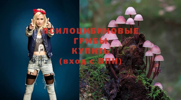 дурь Надым