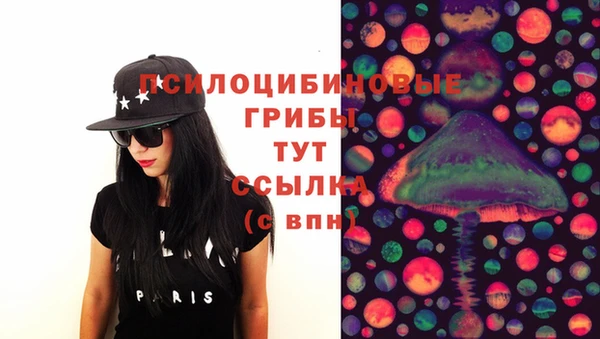 дурь Надым