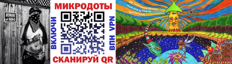 Галлюциногенные грибы Psilocybine cubensis  Саранск 