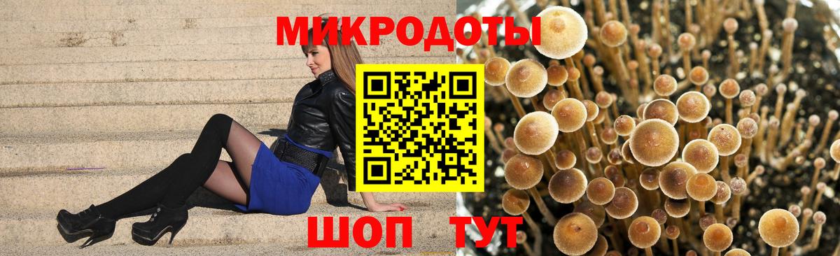 Саранск  Псилоцибиновые грибы Magic Shrooms  Вход с VPN 